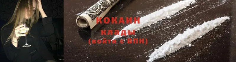 Cocaine FishScale  где можно купить   Дубна 