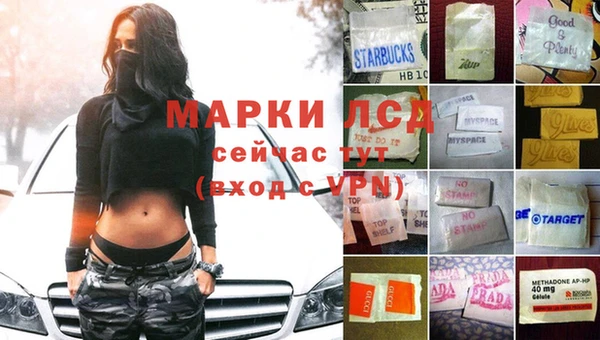 кокс Михайлов