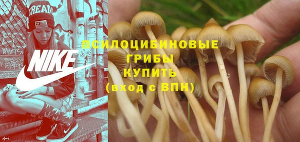 экстази Медвежьегорск