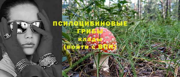 кокс Михайлов