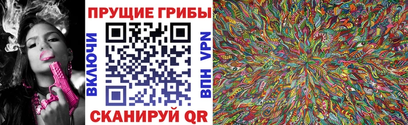 Псилоцибиновые грибы MAGIC MUSHROOMS  Дубна 