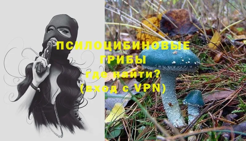 Псилоцибиновые грибы Psilocybe  продажа наркотиков  Дубна 