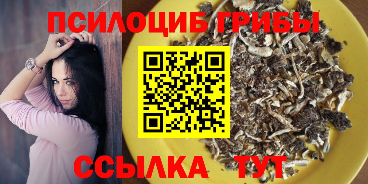 Псилоцибиновые грибы прущие грибы  Вход с VPN  Дубна 