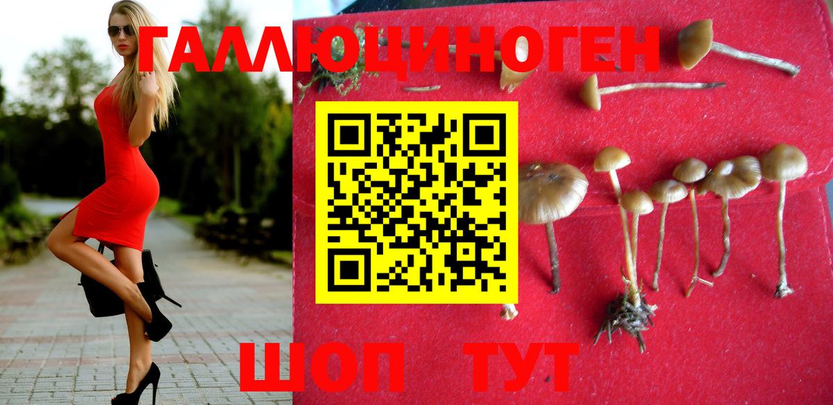 Псилоцибиновые грибы MAGIC MUSHROOMS Дубна